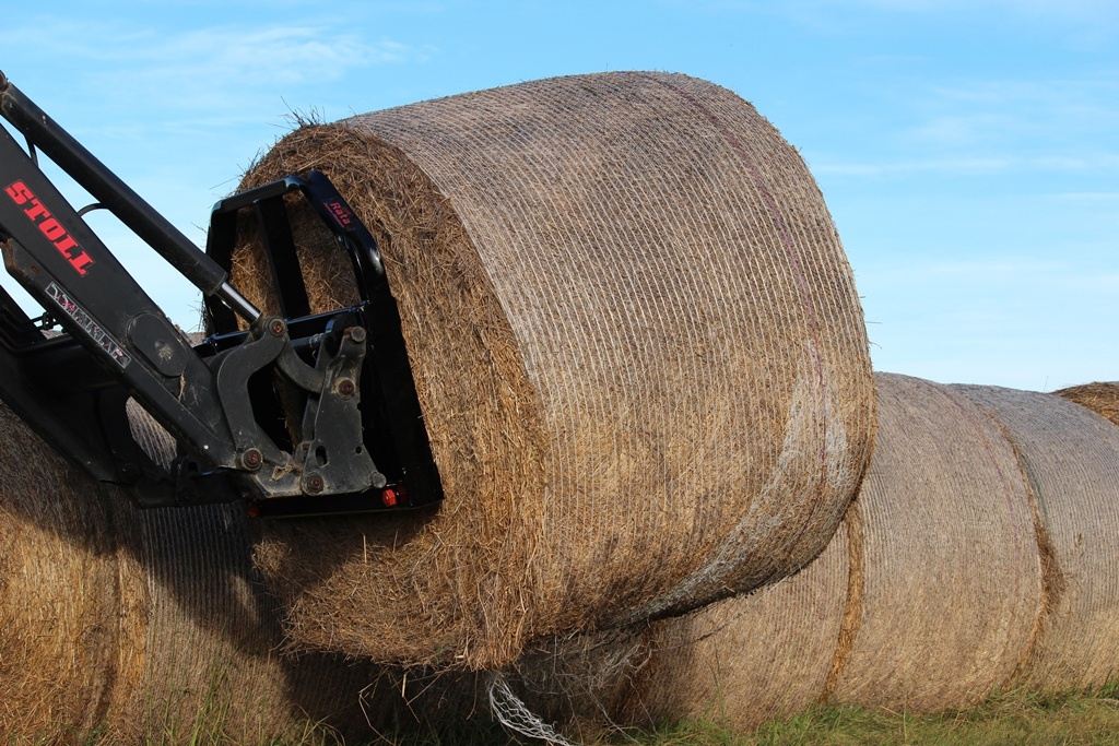 Rata Bale Forks