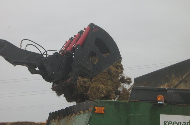 Rata Shear Grab